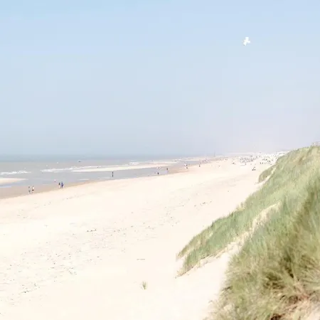 Appartement In With Stunning Sea View Wenduine