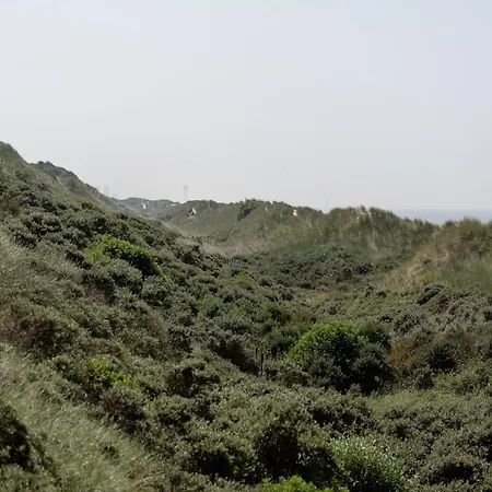 In With Stunning Sea View